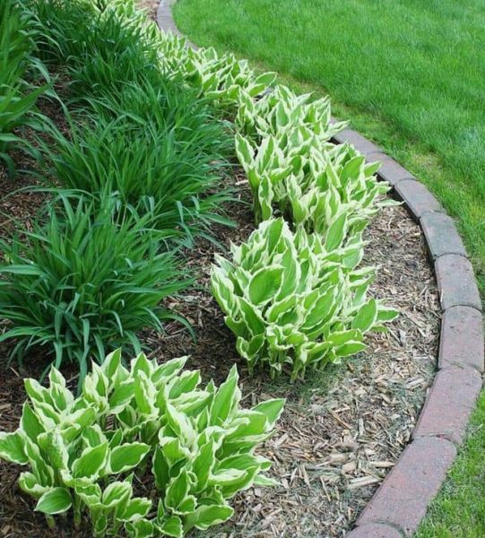 WhatsApp Image 2023-07-02 at 9.44.29 PM